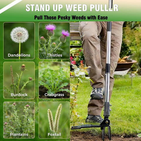 Weed Puller Tool, Stand Up Weed Puller with Stainless Steel Long Handle, 6-Claw Heavy Duty Steel Head, Weeder Tool for Garden, Easily Remove Weeds Without Bending/Kneeling