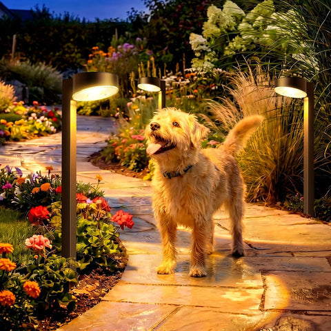 VOLISUN 8 Pack Solar Pathway Lights Outdoor, Brighter LED Solar Lights Outdoor Waterproof, Modern Path Light for Yard Garden Walkway Driveway Lawn, Black