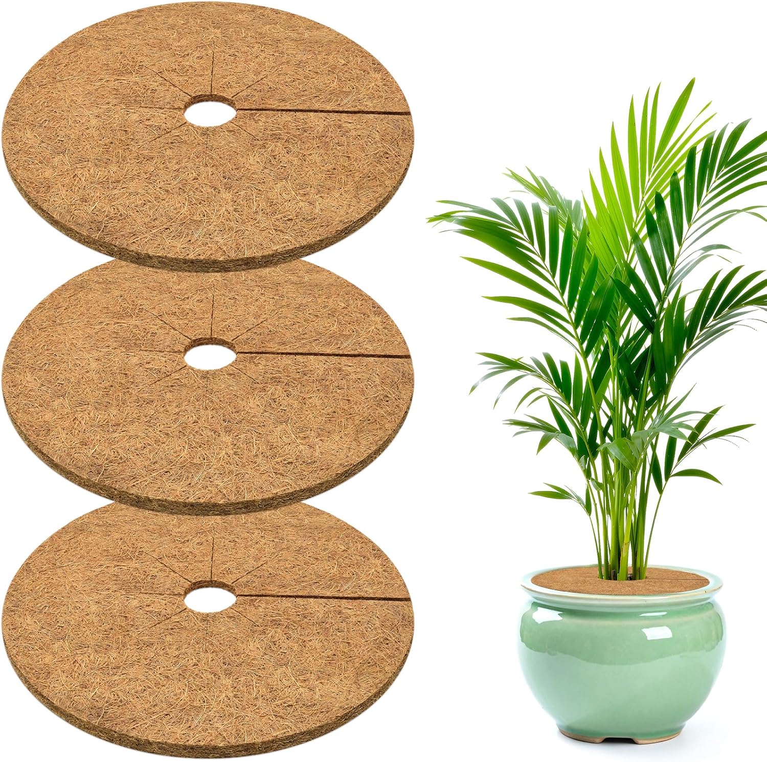 ZeeDix 11.8 Inch Coconut Fiber Tree Ring Mulch Mat, 3 Pack Tree Mulch Ring