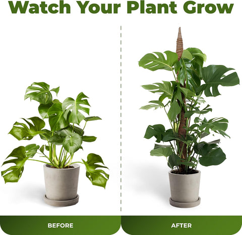 2Pcs 28'' Moss Pole Monstera Plant Support - Plant Stakes for Indoor Plants