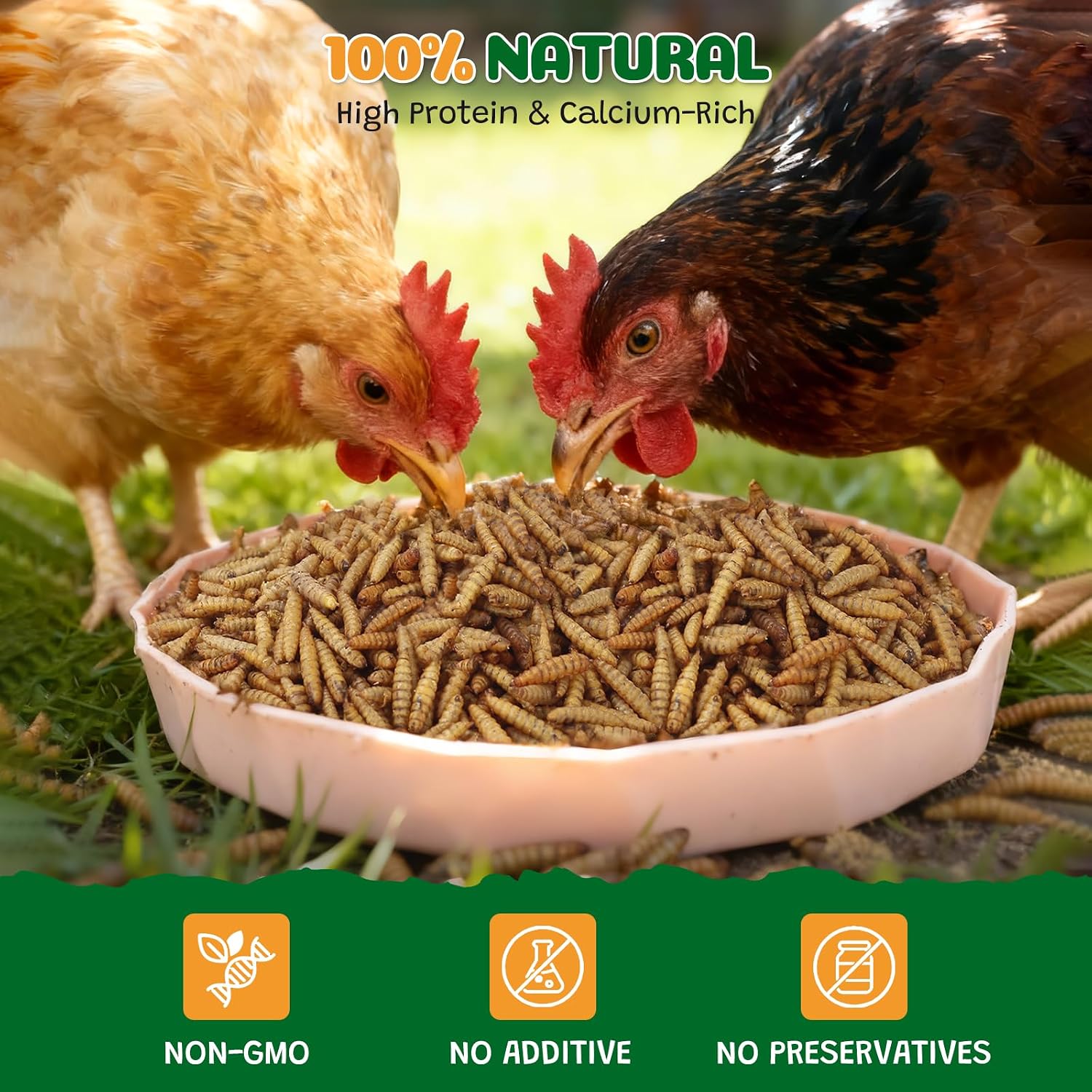 Dried Black Soldier Fly Larvae, 10LB All Natural Chicken & Bird Treats, High-Protein Grub Feed for Laying Hens, Ducks, Reptiles, Hamsters - More Calcium Than Mealworms
