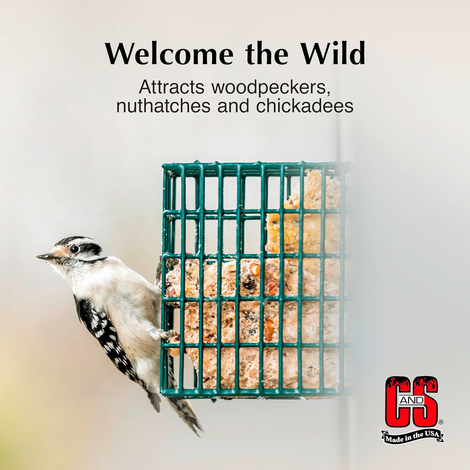 C&S High Energy Suet Treat, Suet Cakes for Wild Birds, Pack of 8