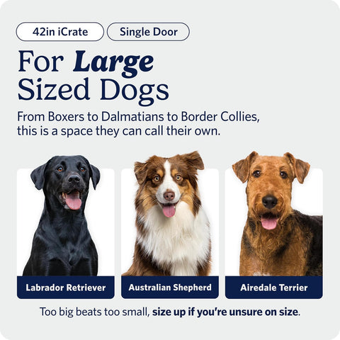 Midwest 42-Inch Single Door iCrate, for Large Breeds, 71-90 lbs