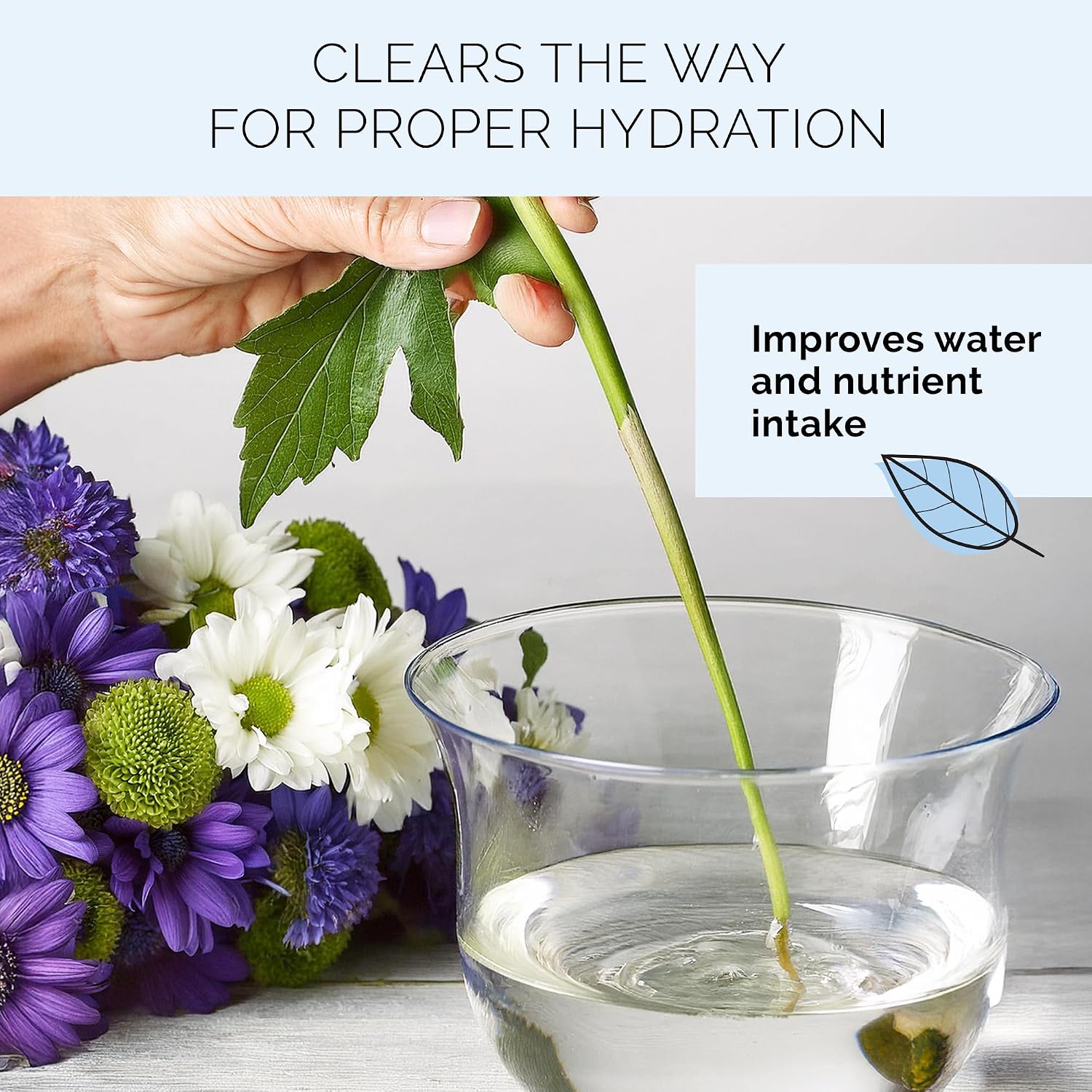 FloraLife Quick Dip Solution for Boosting Fresh-Cut Flowers Hydration, 8oz