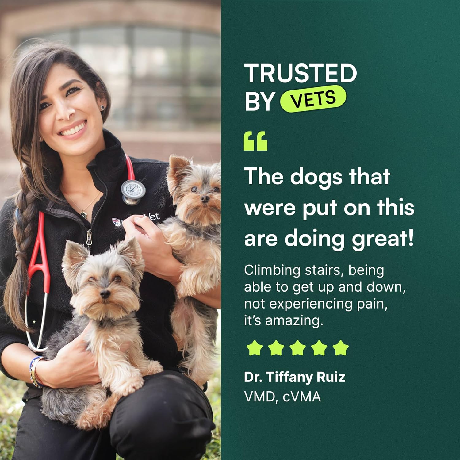 Wuffes Advanced Hip & Joint Chews for Small & Medium Dogs, Vet Recommended