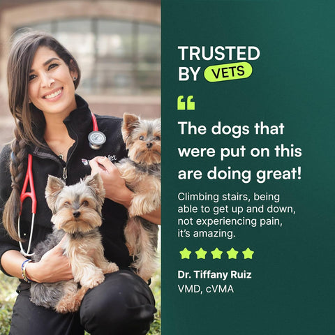 Wuffes Advanced Hip & Joint Chews for Small & Medium Dogs, Vet Recommended