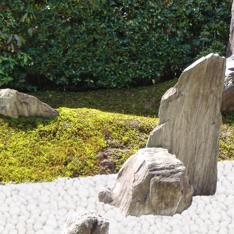 Pulovin 20 lbs White Rocks for Landscaping, Vases, Plants Indoor, 1-2 Inch
