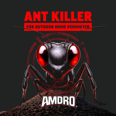 Amdro Ant Killer for Outdoor Home Perimeter, 24 Oz