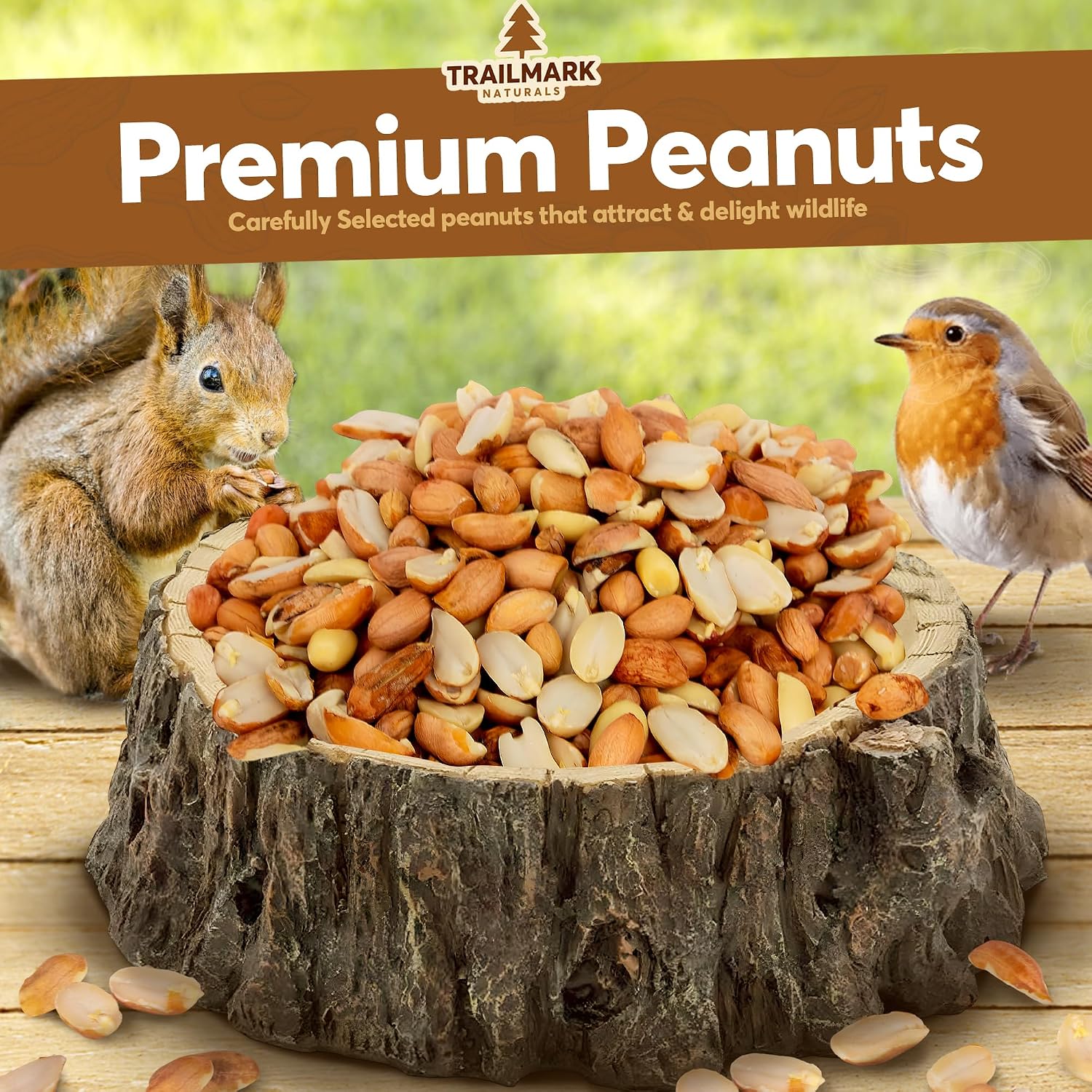 11 LB - Raw Shelled Peanuts for Squirrels, Out of Shell Peanuts for Birds and Wildlife- Squirrel Food, Wild Bird Seed - Grown in The USA
