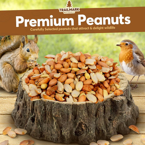 11 LB - Raw Shelled Peanuts for Squirrels, Out of Shell Peanuts for Birds and Wildlife- Squirrel Food, Wild Bird Seed - Grown in The USA