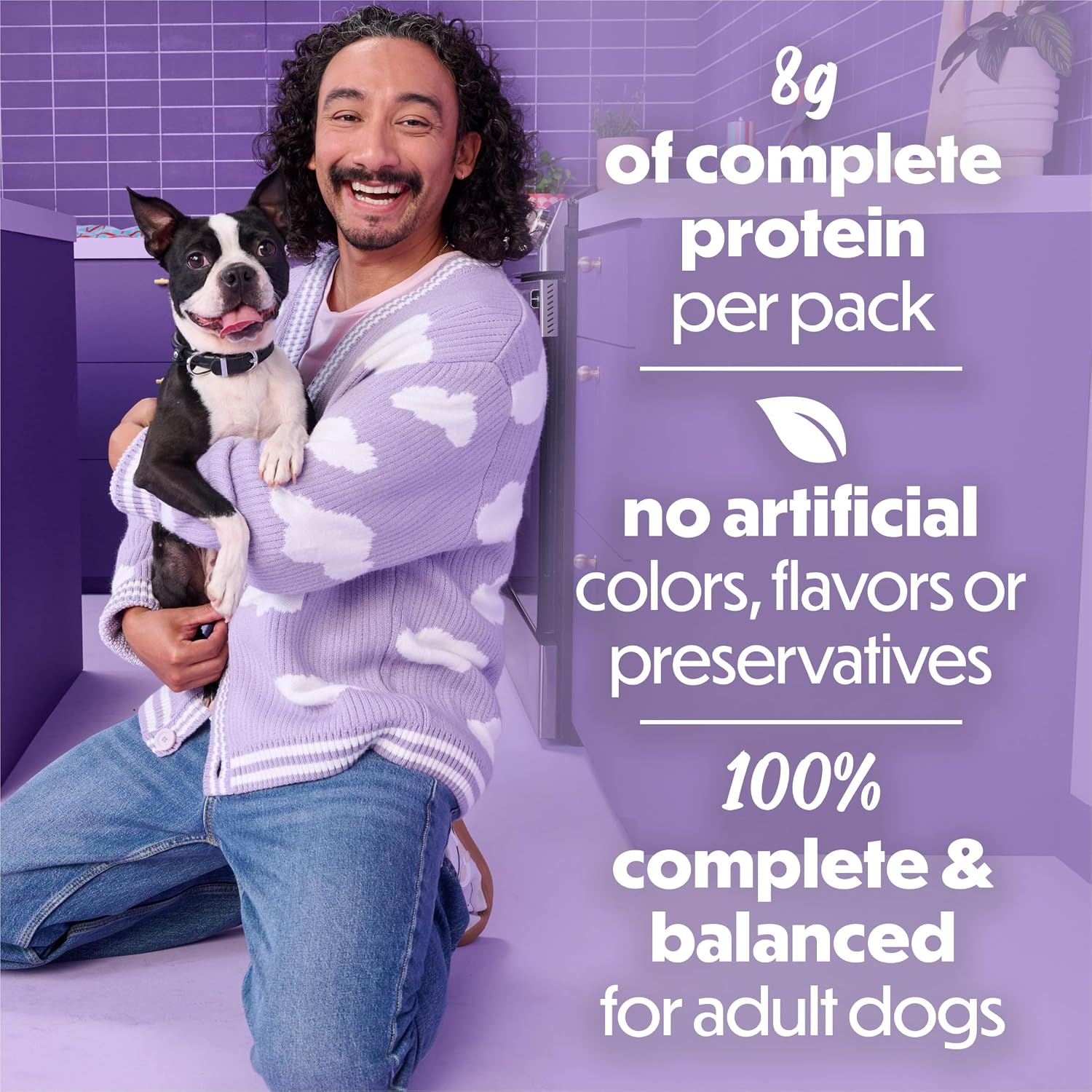 Beneful Purina Kitchen Creations with Beef and Garden Veggies in Sauce Wet Dog Food 3 oz. Cans