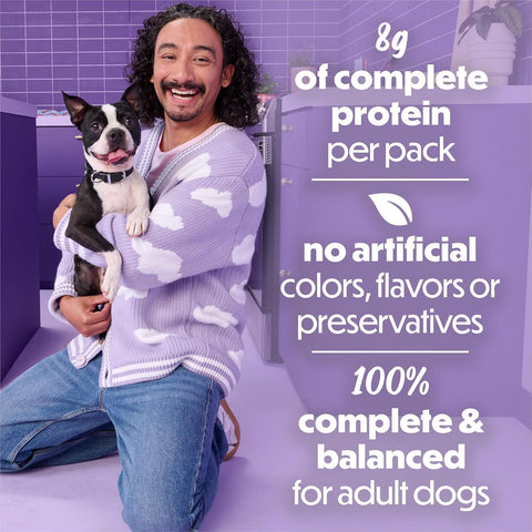 Beneful Purina Kitchen Creations with Beef and Garden Veggies in Sauce Wet Dog Food 3 oz. Cans
