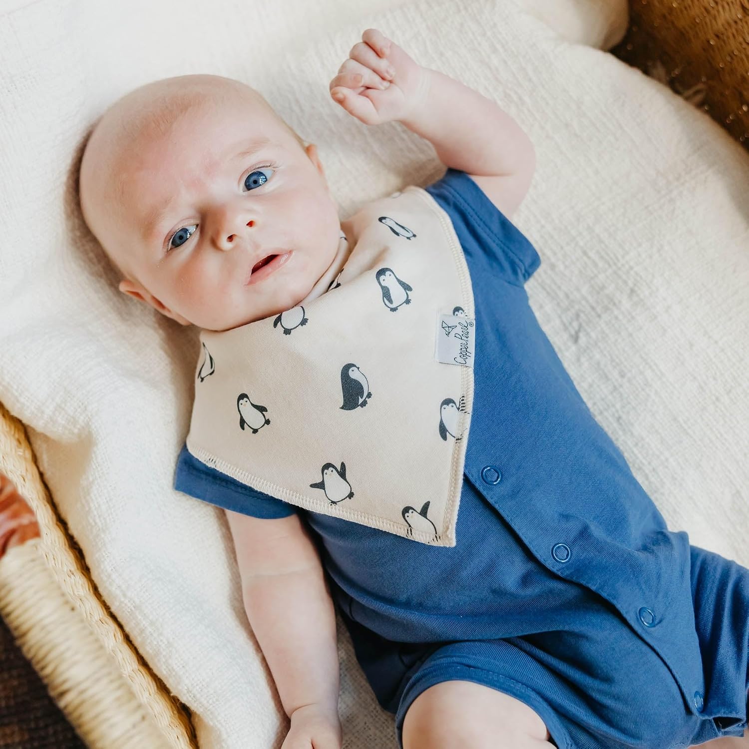 Copper Pearl Baby Bibs 4 Pack, Printed Bandana Drool Bibs for Baby Girl & Boy, Soft Cotton Drooling Teething Bibs
