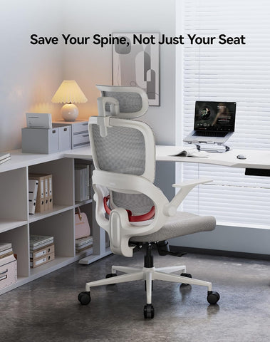 SIHOO B100 SE Ergonomic Office Chair, Desk Chair with Lumbar Support