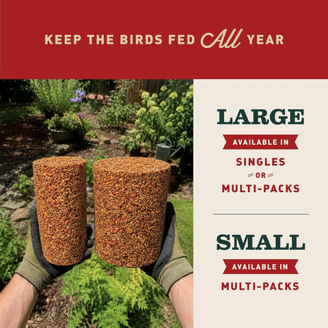 Mr. Bird Flaming Hot Feast Spicy Bird Seed Cylinder, 4-Pack, 1 lb 3 oz