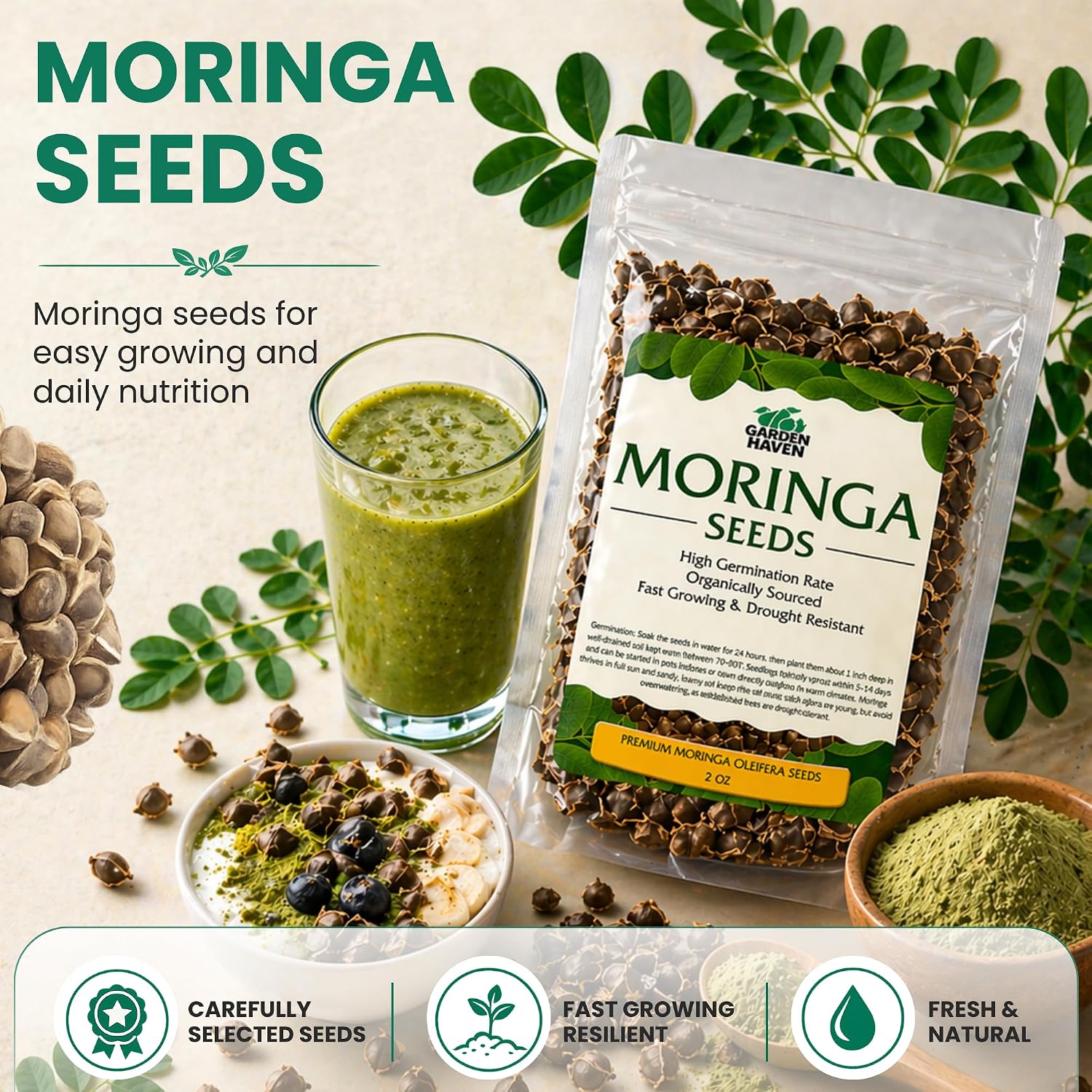 Moringa Seeds 2 oz, 200+ PKM1 Seeds for Eating & Planting