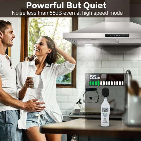 Range Hood 30 inch Stainless Steel, Wall Mount kitchen Hood 450 CFM