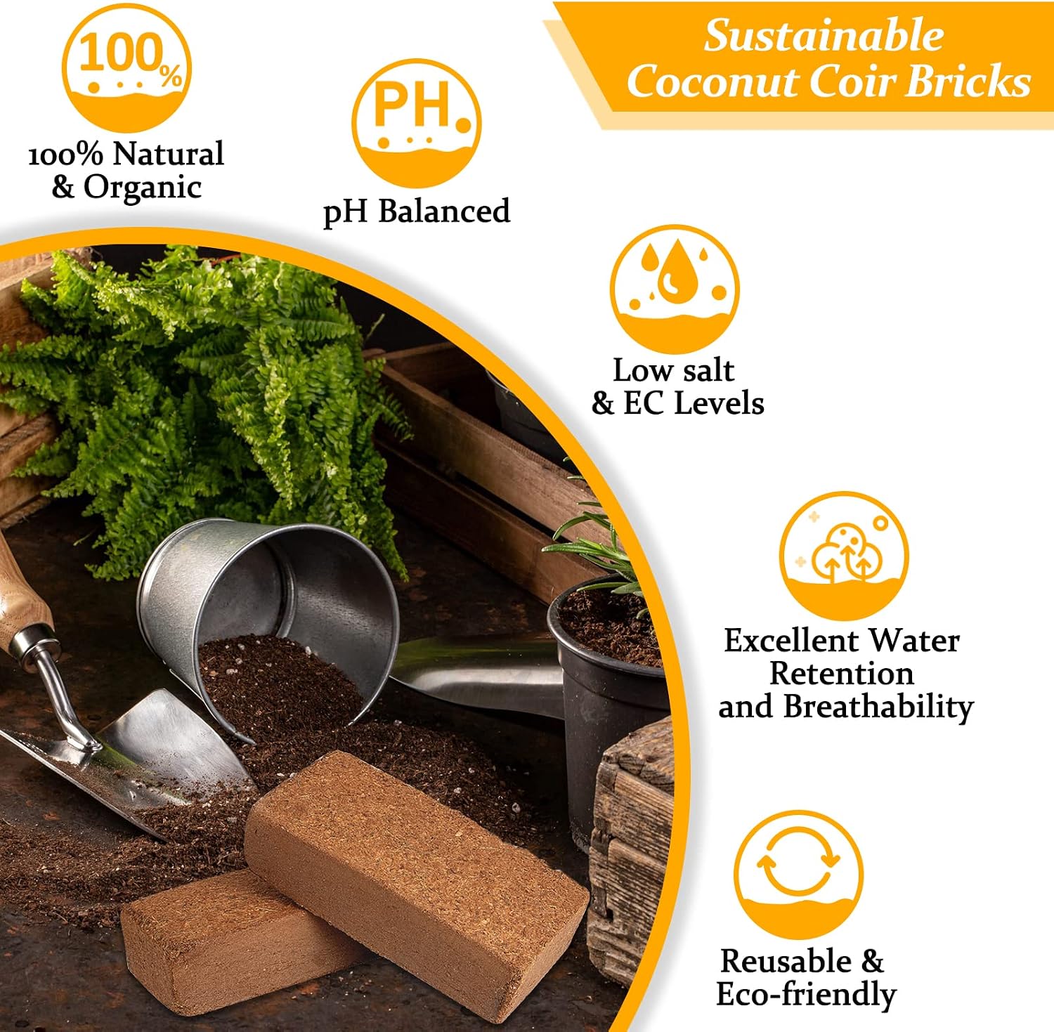 Riare 2pcs Organic Coco Coir Bricks, Natural Coconut Coir for Plants