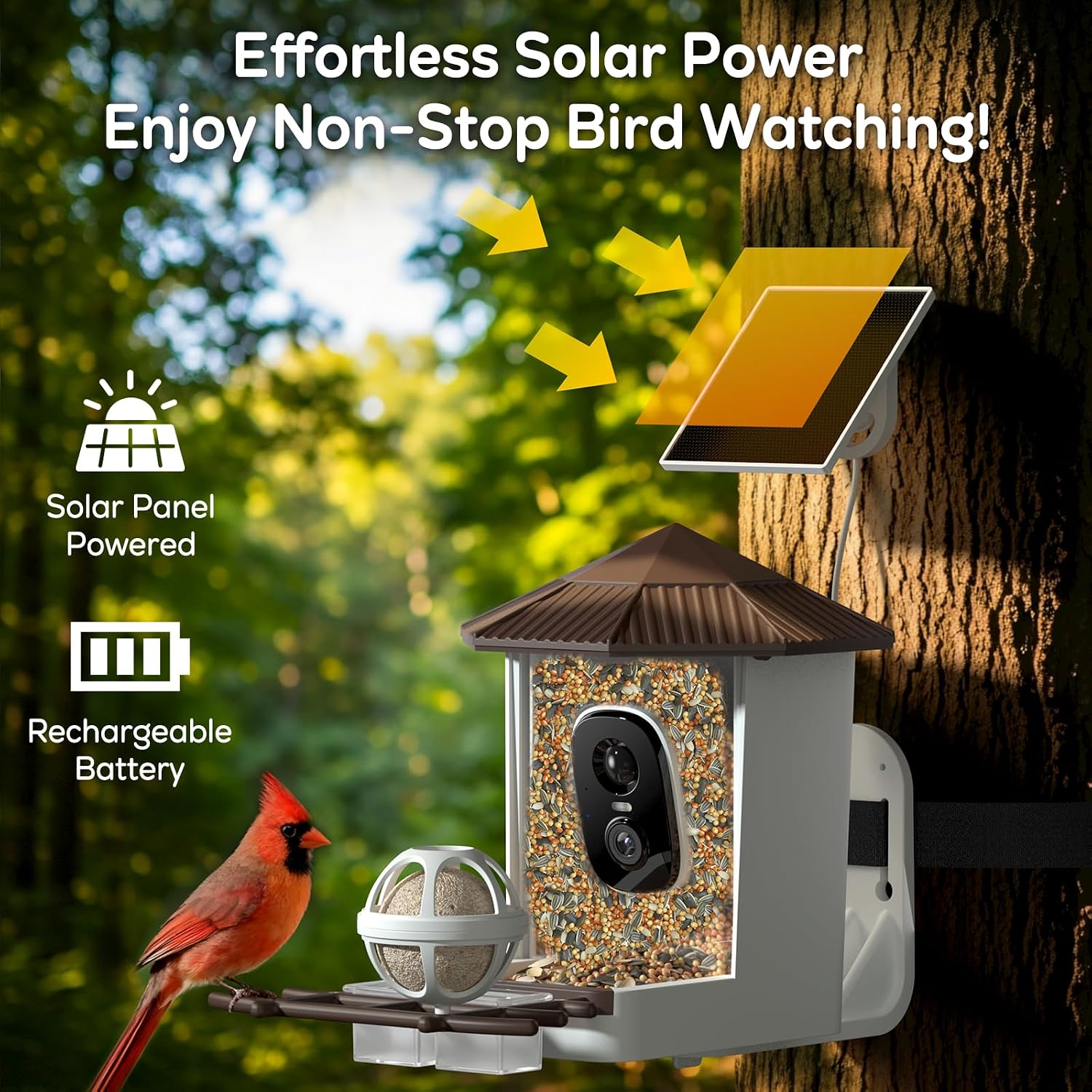wansview 2K Bird Feeder with Camera Solar Powered, 2.4G WiFi, F1 Brown