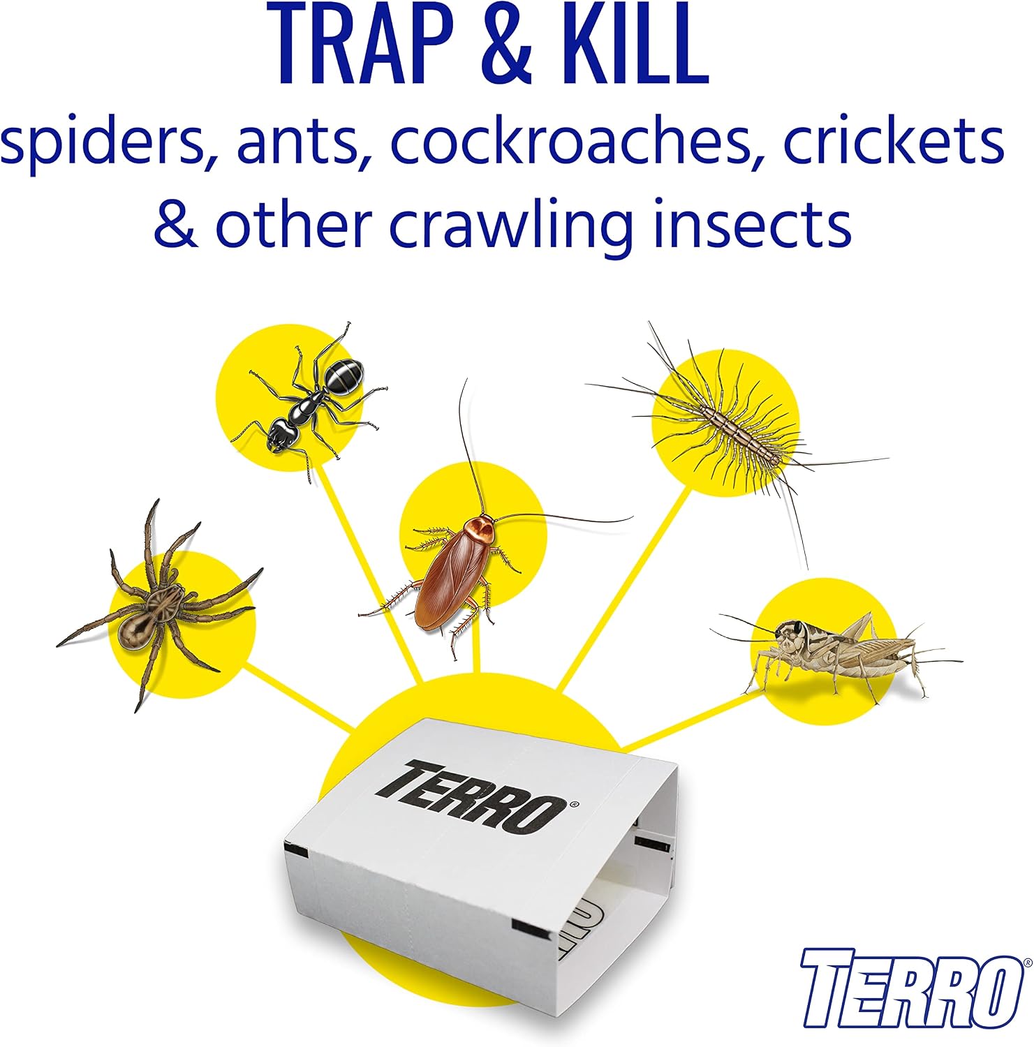 TERRO Spider & Insect Trap, 10-Pack Sticky Glue Traps