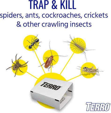 TERRO Spider & Insect Trap, 10-Pack Sticky Glue Traps