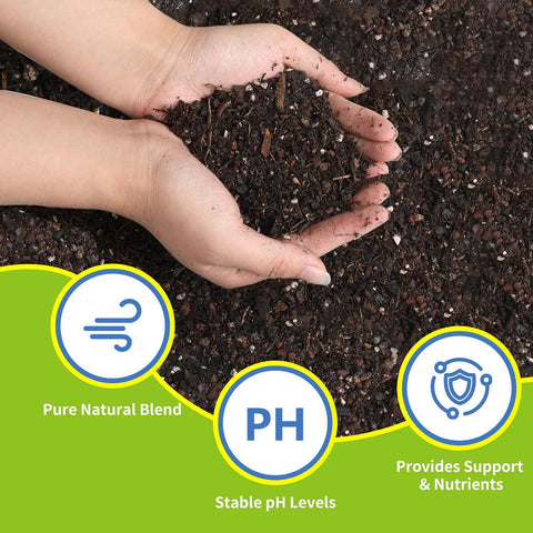 Succulent and Cactus Soil Potting Mix 4qt-Premium Breathable & Fast Draining for Healthy Plants