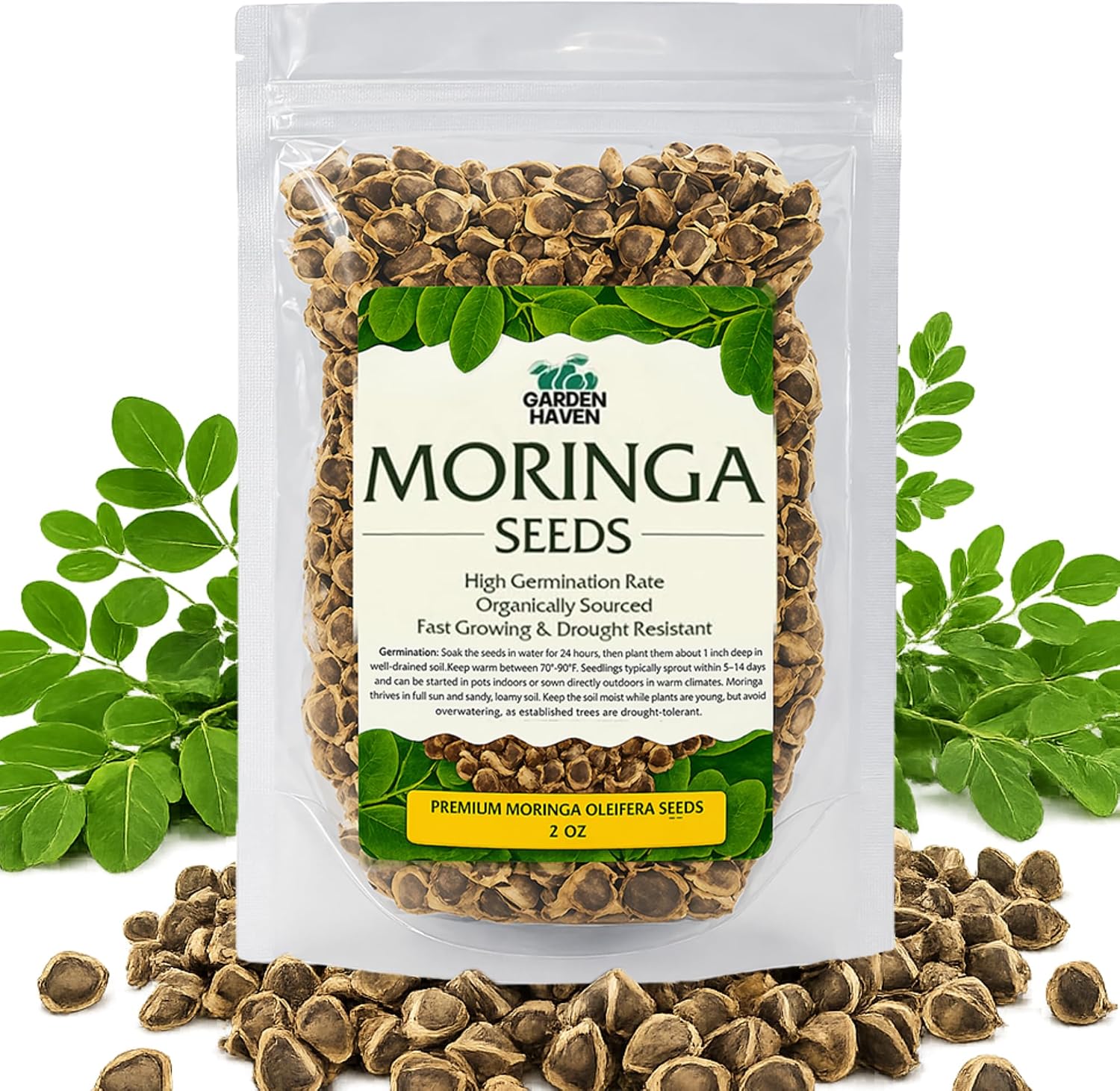 Moringa Seeds 2 oz, 200+ PKM1 Seeds for Eating & Planting
