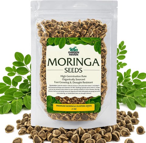 Moringa Seeds 2 oz, 200+ PKM1 Seeds for Eating & Planting