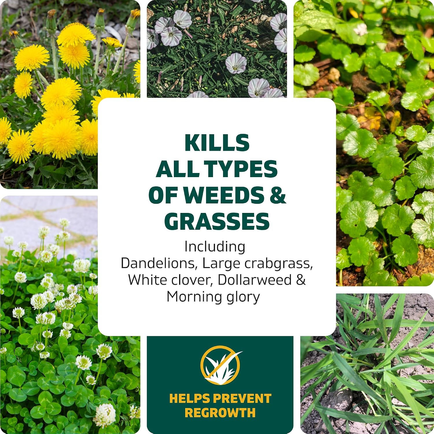 Spruce Weed Killer Refill - Versatile Weed & Grass Killer₂ for Flower Beds, Driveways & Mulch Beds - No Pour, No Mix, No Mess Refill - Kills Dandelions, Crabgrass & More - Results in 1 Hour (64 Oz)