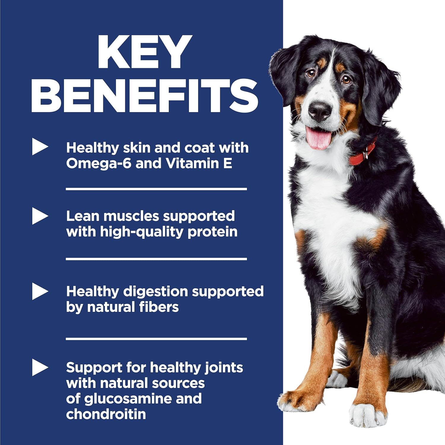 Hill's Science Diet Large Breed Dry Dog Food
