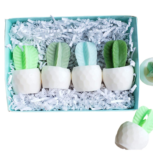 Cactus Handmade Soap Gift Set Women for Garden Lovers/Birthday/Christmas/Under 30