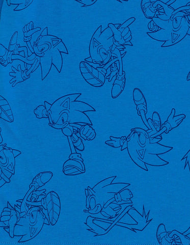 SEGA Sonic the Hedgehog Hangdown T-Shirt Little Kid to Big Kid