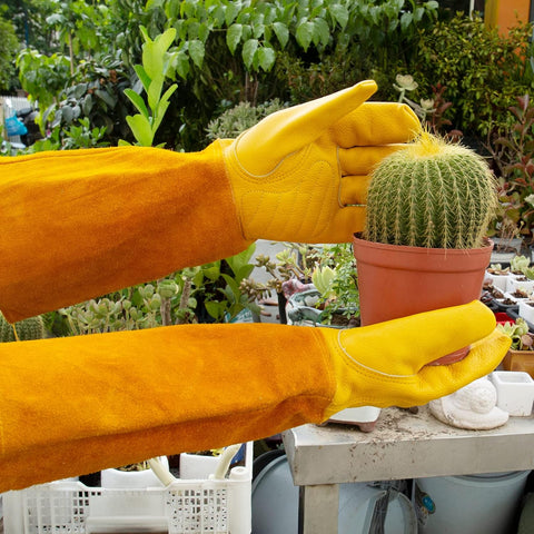 Acdyion Thorn Proof Gardening Gloves for Men & Women, Butter Yellow, S
