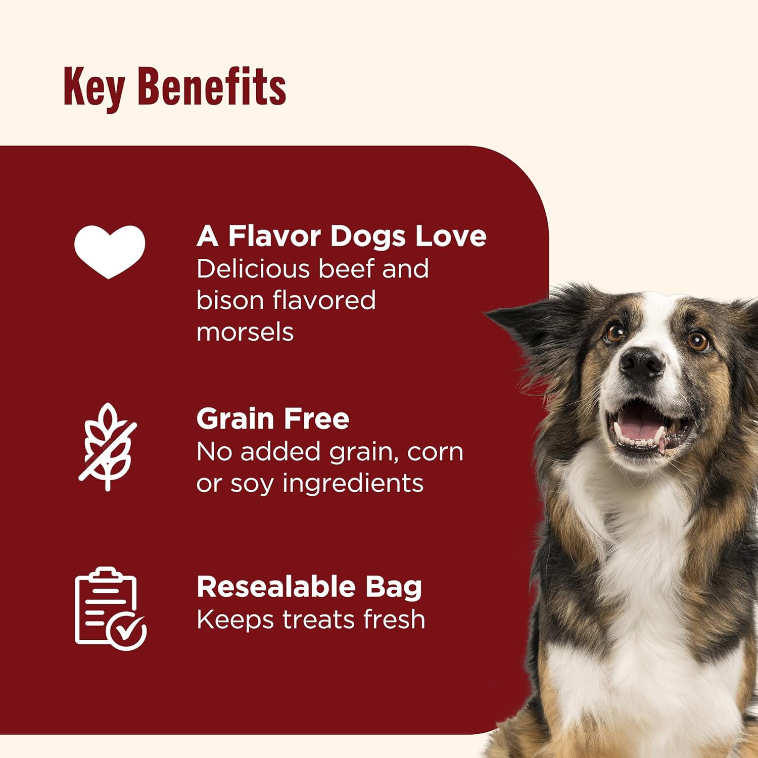 Nutrish Burger Bites Dog Treats, Beef Recipe, 12 oz. Pouch (Rachael Ray)