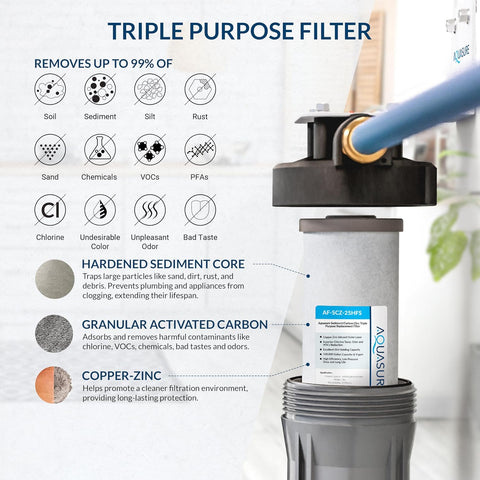 Aquasure Fortitude V2 Series Triple Purpose Sediment/Carbon/Zinc Replacement Filters (1, Standard)