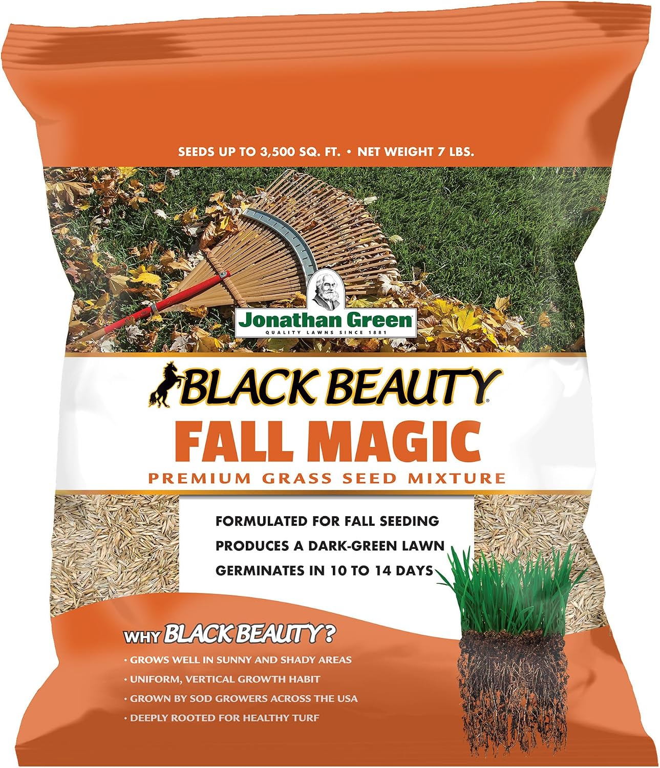 Jonathan Green Black Beauty Fall Magic Grass Seed - 25 lb