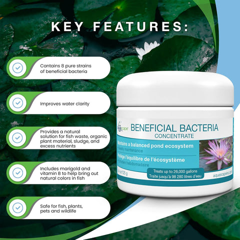 Aquascape 98950 Beneficial Bacteria Water Treatment Dry - 3.2 kg/7 lbs for Pond Water Feature Waterfall | Provides Clean, Clear and Healthy Water Conditions and Reduces Pond Maintenance