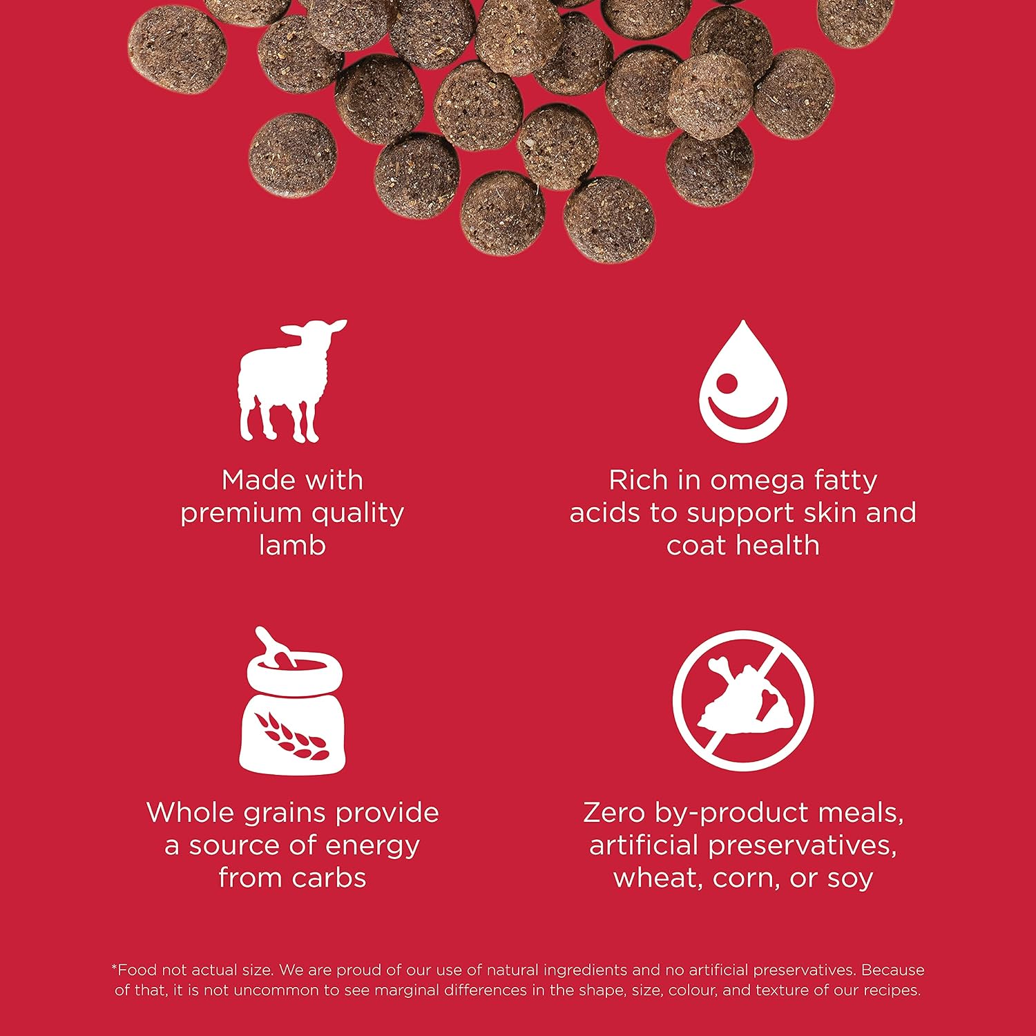 Go! Solutions Skin + Coat Care Lamb Dry Dog Food with Grains, Chicken-Free, Healthy Kibble with Omega-3s & 6s for Soft, Shiny Fur, for Puppies, Adults, & Seniors, 22 lb Bag