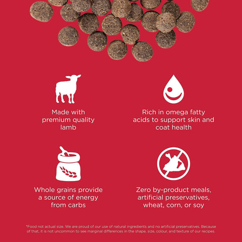 Go! Solutions Skin + Coat Care Lamb Dry Dog Food with Grains, Chicken-Free, Healthy Kibble with Omega-3s & 6s for Soft, Shiny Fur, for Puppies, Adults, & Seniors, 22 lb Bag
