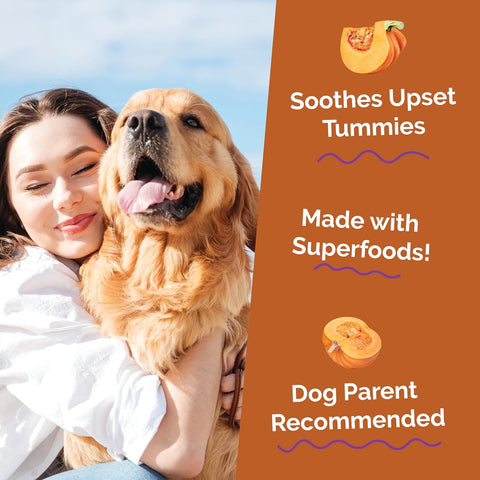 Fruitables Pumpkin Digestive Supplement, Fiber Supplement for Dogs, 15oz
