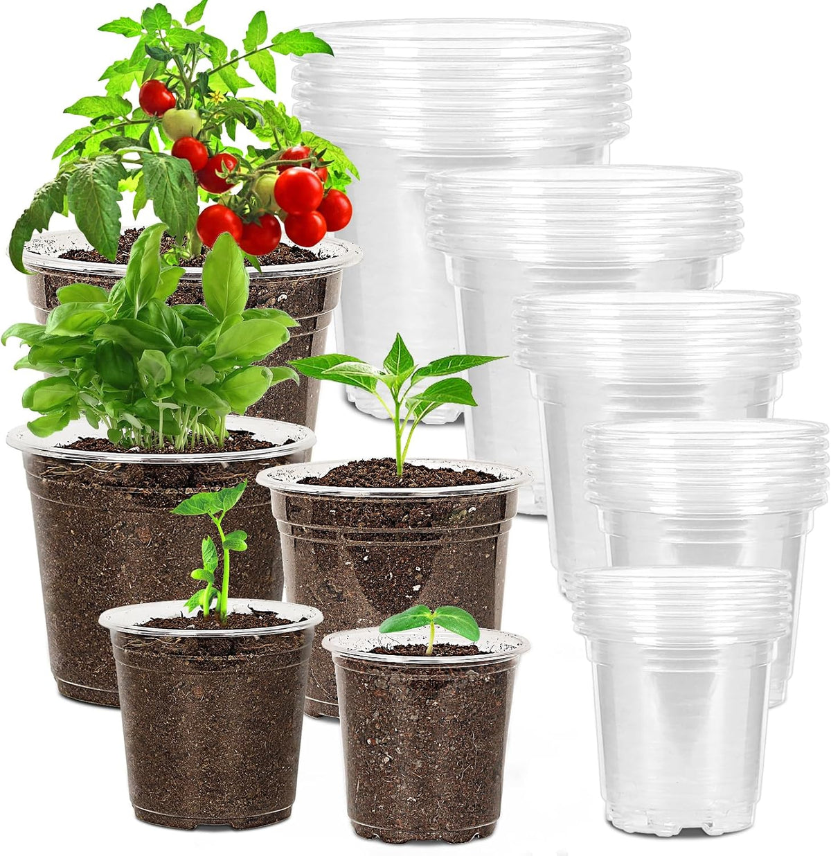 JNYONG 30 Pack 3.5/4/5/6/7 Inch Clear Nursery Pots with Drainage Hole