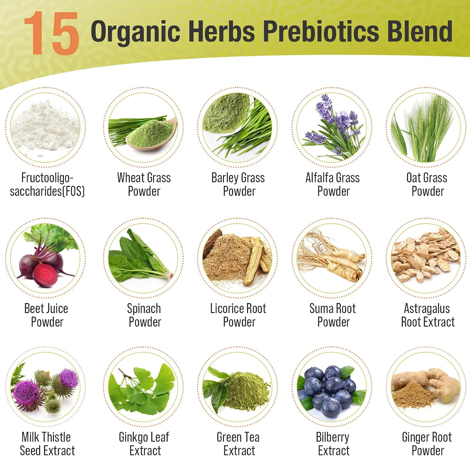 Prebiotics and Probiotics - 300 Billion CFU, 24 Probiotic+15 Herbs, 240 Cap