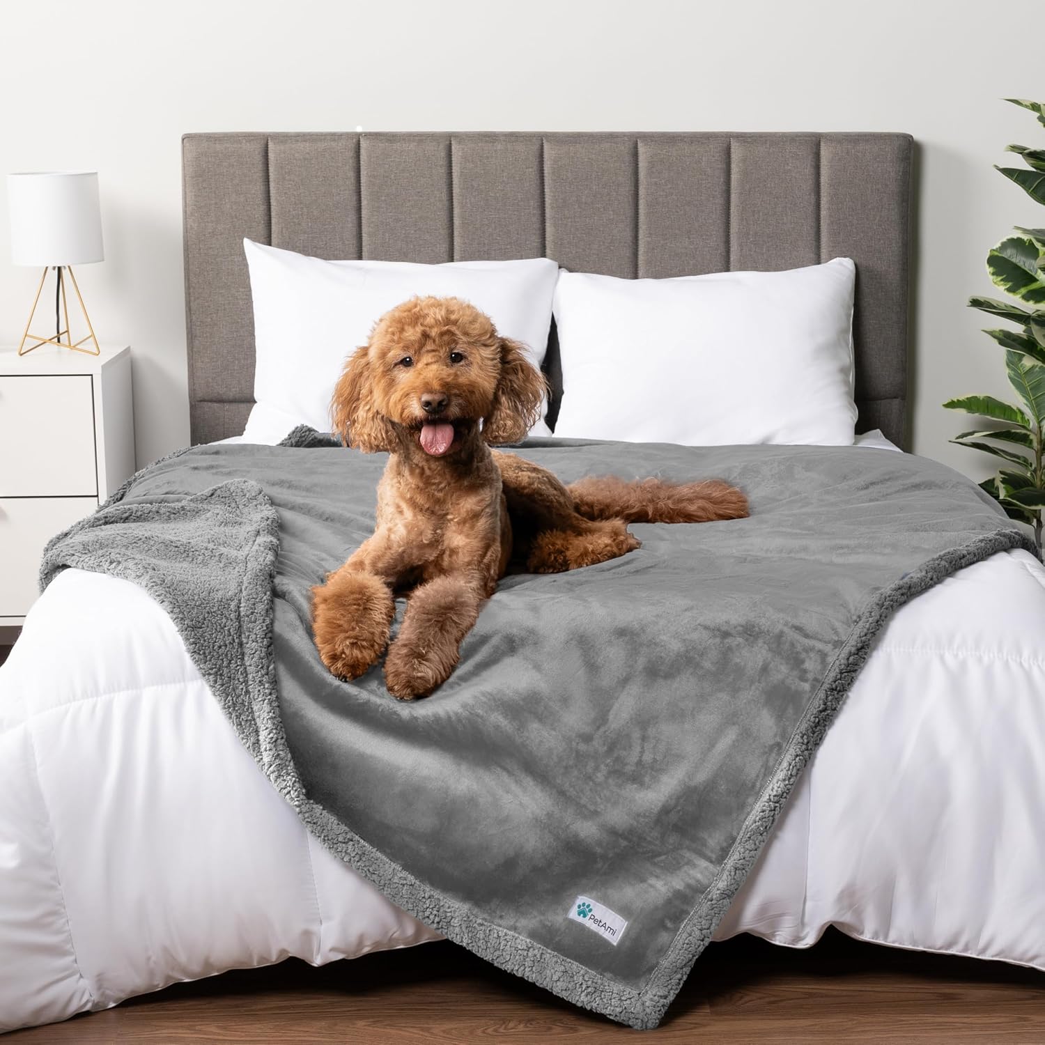 PetAmi Waterproof Dog Blanket for Large Dog Pet, 90x90 Queen, Light Grey