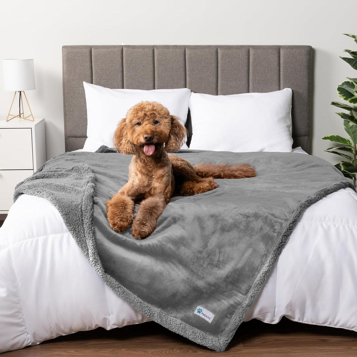 PetAmi Waterproof Dog Blanket for Large Dog Pet, 90x90 Queen, Light Grey