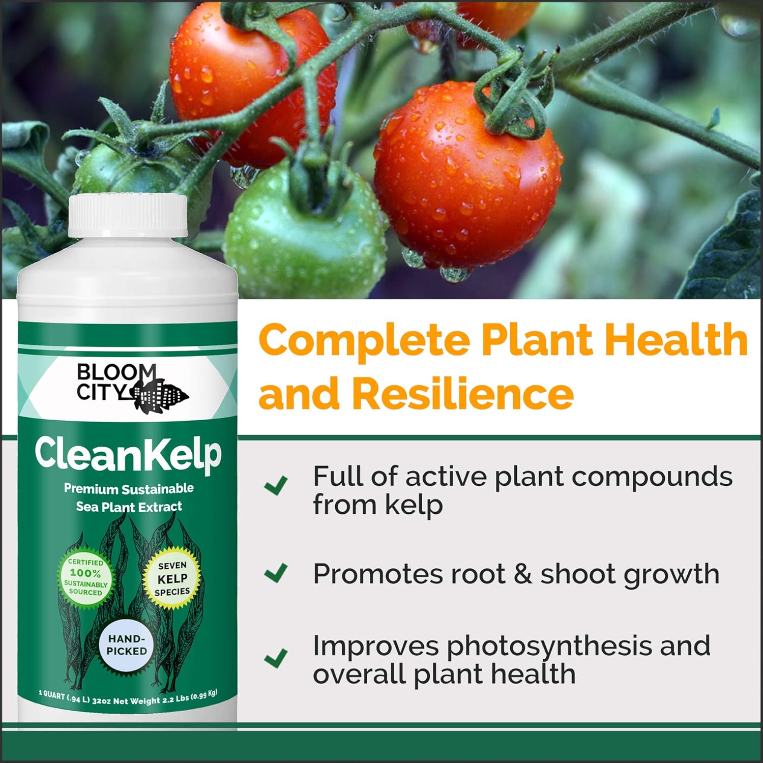 Bloom City Seaweed and Kelp Liquid Fertilizer for Plants, 8 oz