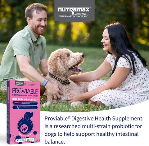 Nutramax Proviable Probiotics + Prebiotics for Dogs, Diarrhea Support Kit