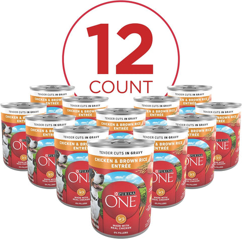 Purina ONE Chicken & Brown Rice Wet Dog Food, Tender Cuts, (12) 13 oz Cans