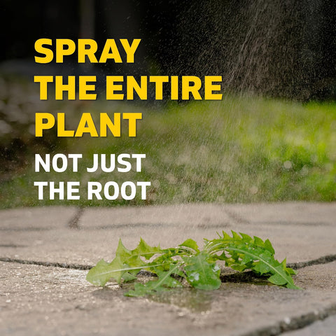 Spruce Weed Killer Refill - Versatile Weed & Grass Killer₂ for Flower Beds, Driveways & Mulch Beds - No Pour, No Mix, No Mess Refill - Kills Dandelions, Crabgrass & More - Results in 1 Hour (64 Oz)