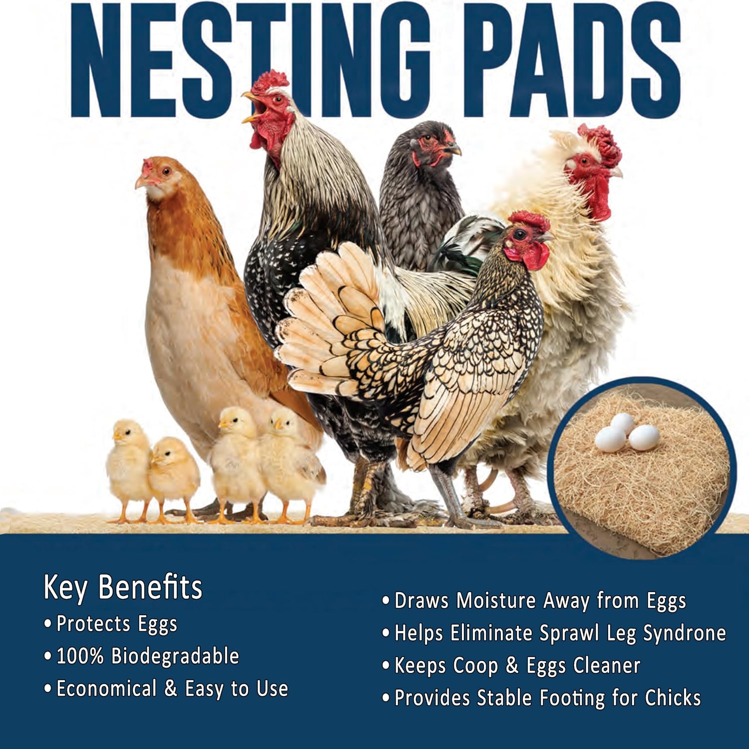 Chicken Nesting Pads for Chicken Coop Accessories - 12 Pack - USA Aspen - Professional Grade Excelsior Bedding - Easy Clean Up - Absorbs Moisture 100% Natural, Liners for Laying Hens - Fits 12x12 Box