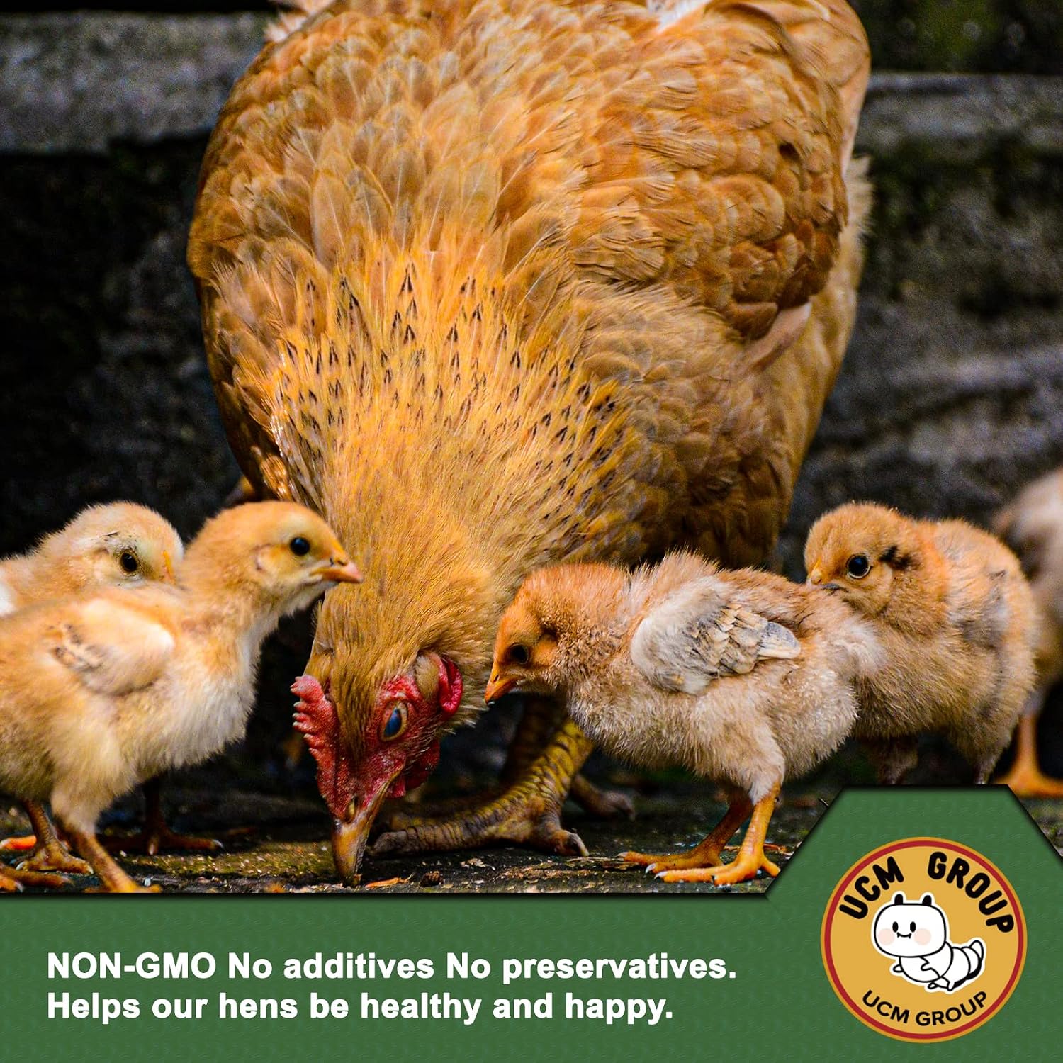 5LB Dried mealworms for Wild Birds, Chickens, High Protein Organic Chicken Feed, 100% Non-GMO for Chickens, Ducks, Turtles and Reptiles